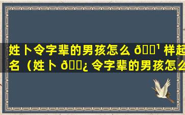 姓卜令字辈的男孩怎么 🌹 样起名（姓卜 🌿 令字辈的男孩怎么样起名好听）